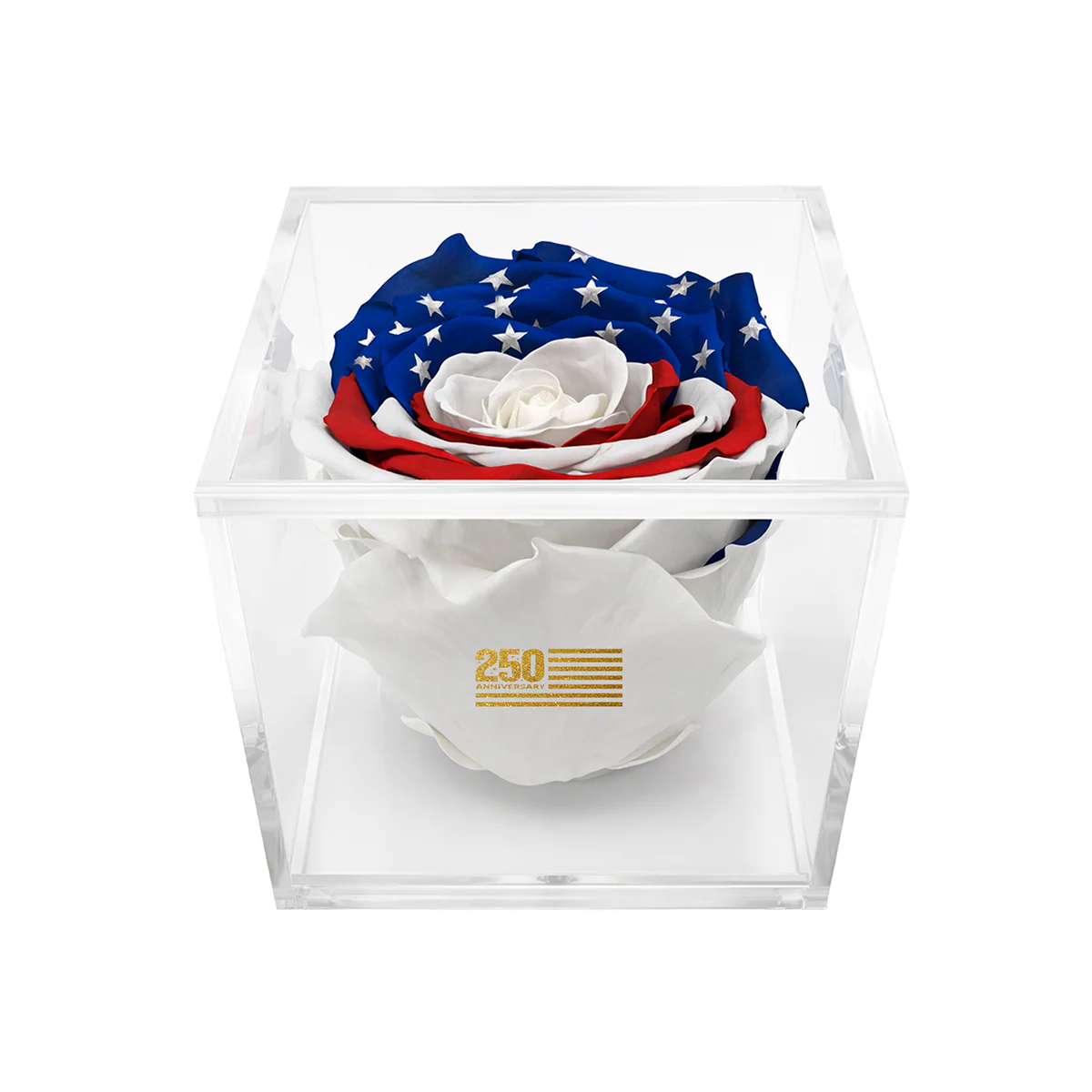 America 250 Forever Stemless Rose – 100% Real - Image 2