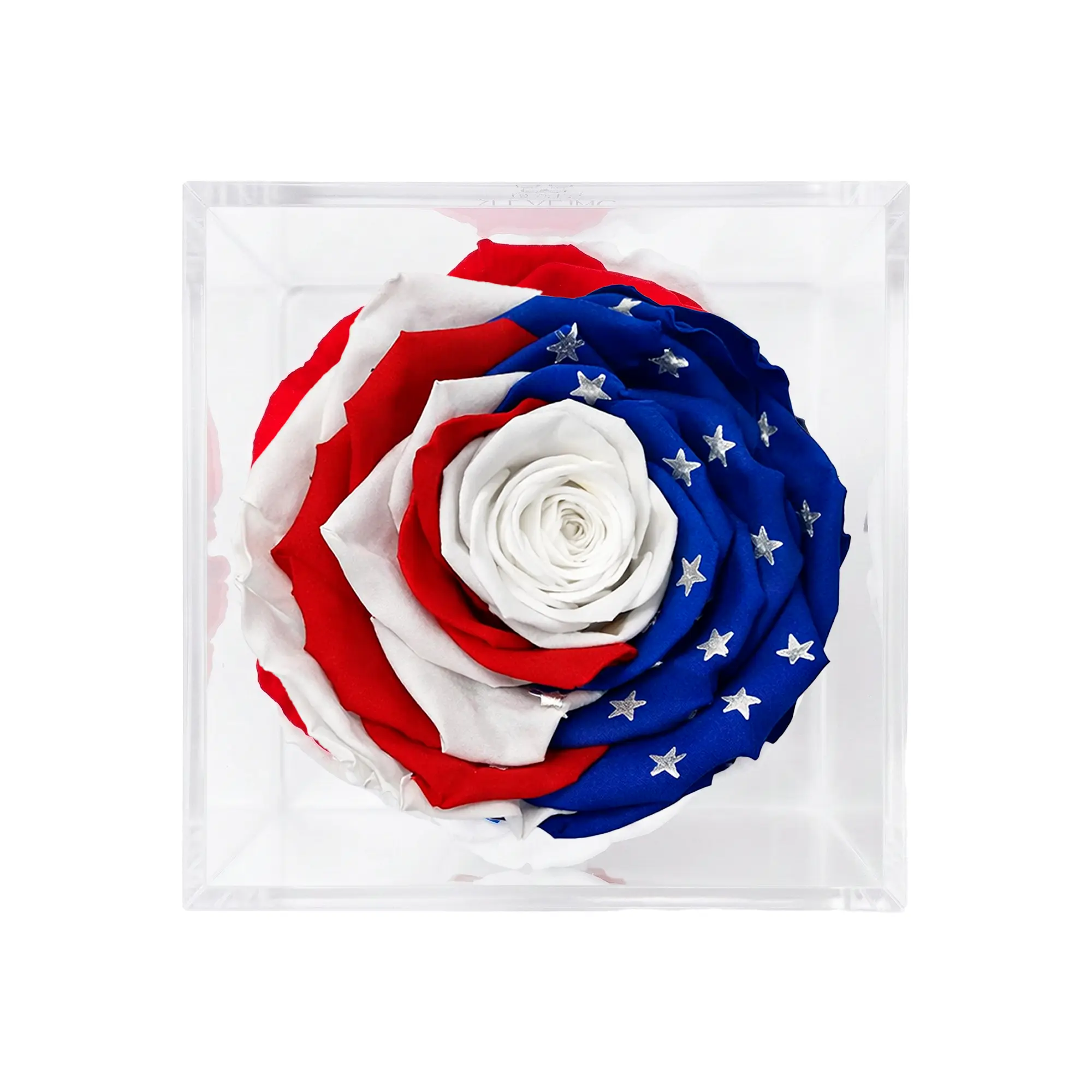 Americana Remember & Honor Forever Stemless Rose – 100% Real - Image 3