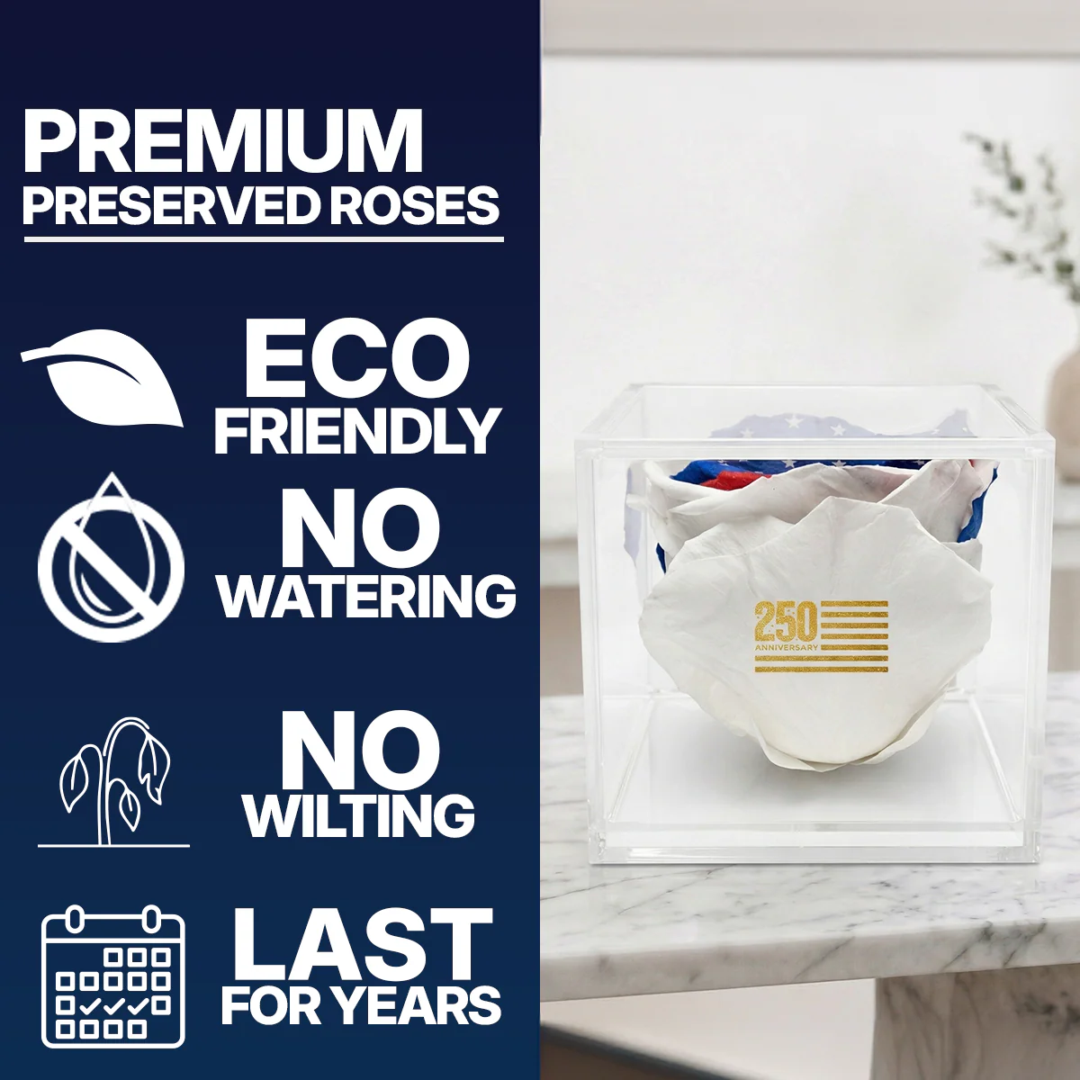 America 250 Forever Stemless Rose – 100% Real - Image 6