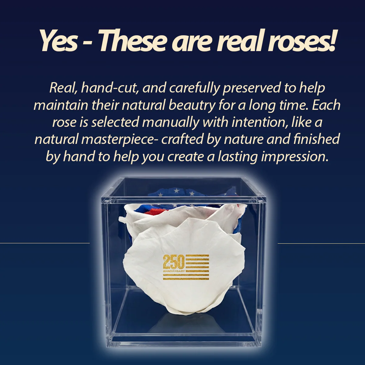 America 250 Forever Stemless Rose – 100% Real - Image 7