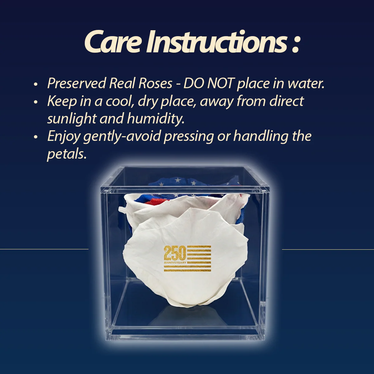 America 250 Forever Stemless Rose – 100% Real - Image 8