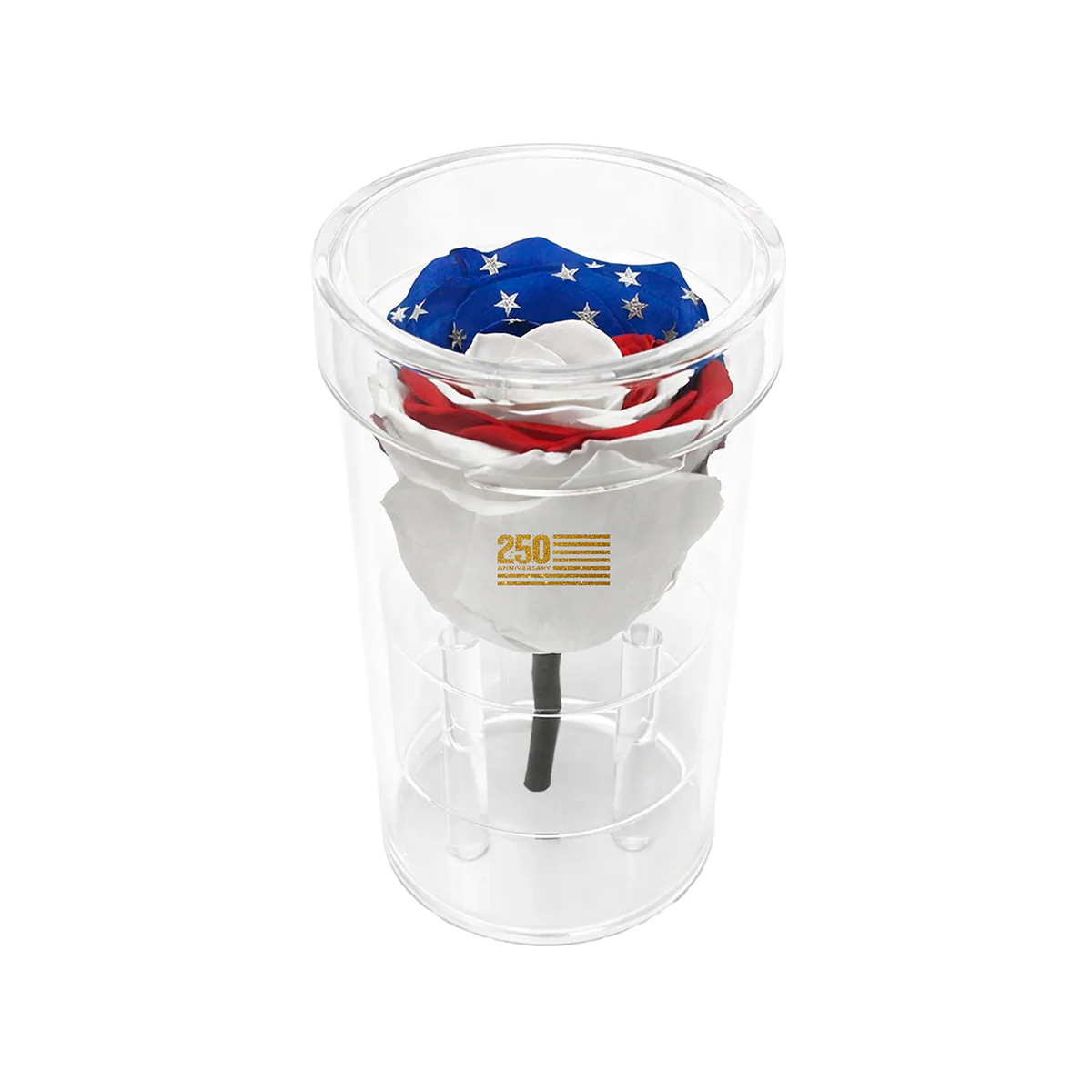 America 250 Forever Rose – 100% Real - Image 4