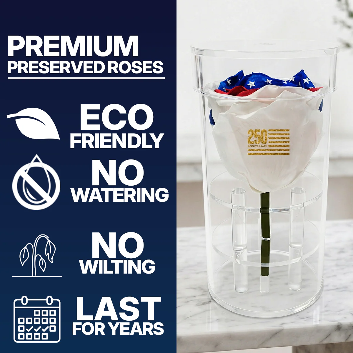 America 250 Forever Rose – 100% Real - Image 6
