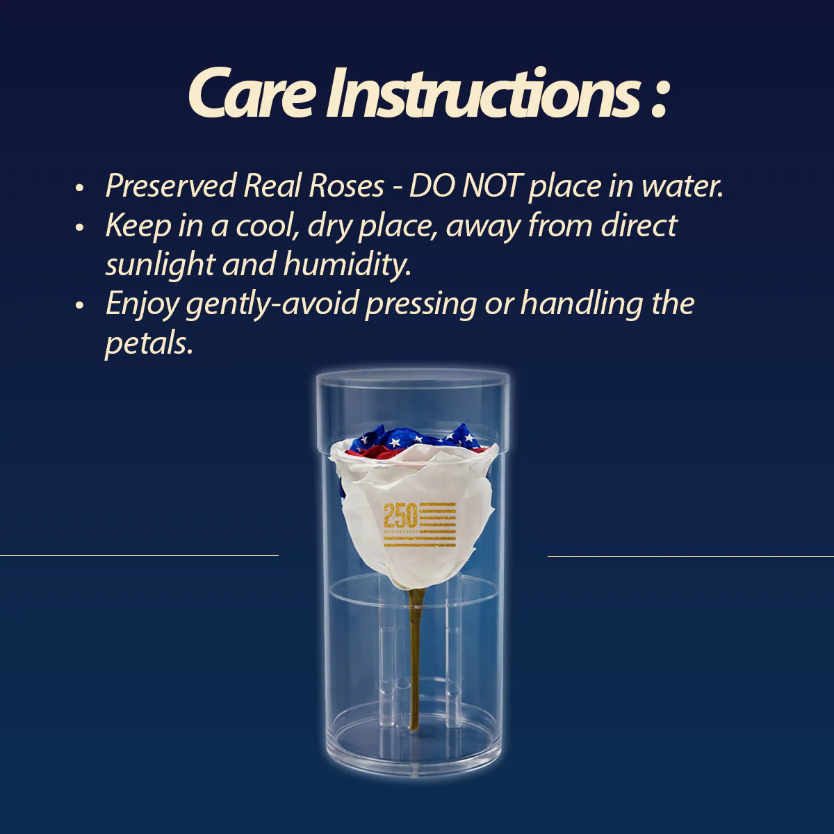 America 250 Forever Rose – 100% Real - Image 8