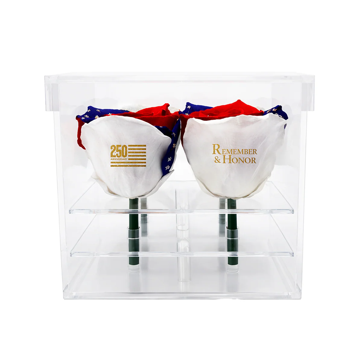 America 250 Remember & Honor Forever Rose Bouquet – 100% Real