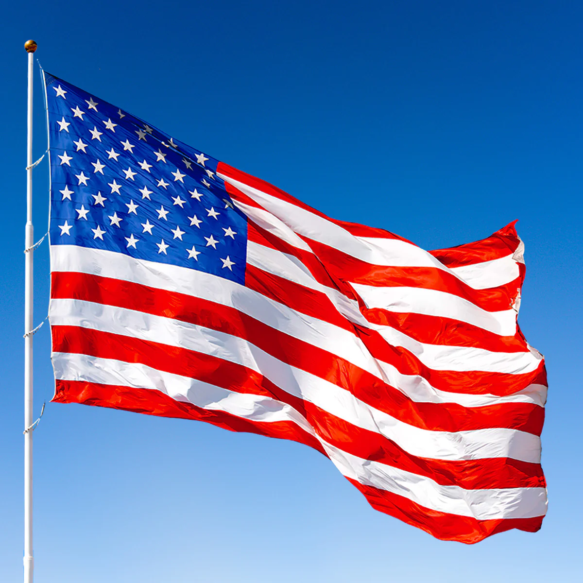 Annin 30ft x 50ft Nyl-Glo American Flag - Image 2