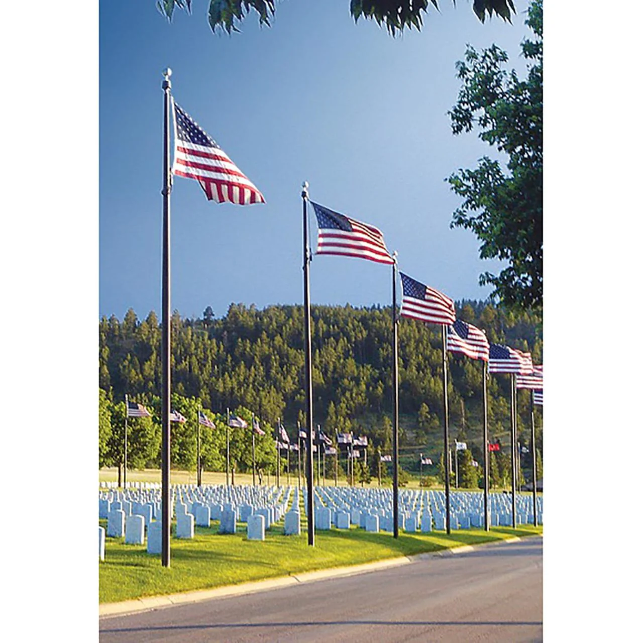 Sentry II Series 30ft Commercial Flagpole - .188in Wall Thickness - 6in Butt Diameter - Image 5